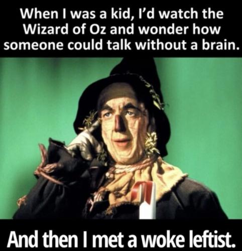 woke lefyist