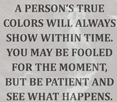 Screenshot_20240424-151225_Gallery