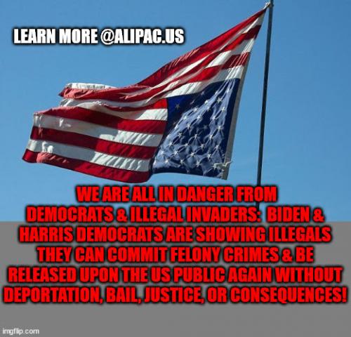 NationInPerilStopInfluxOfIllegalAliensPouringIntoOurCountry