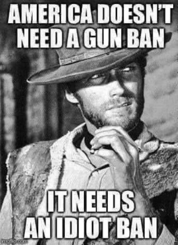 USA idiot ban