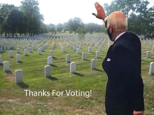 election fraud 36
