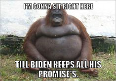 promises