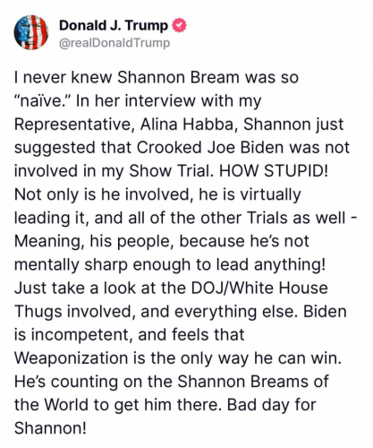 shannon Bream
