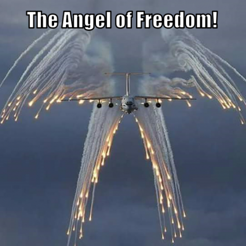 freedomangel