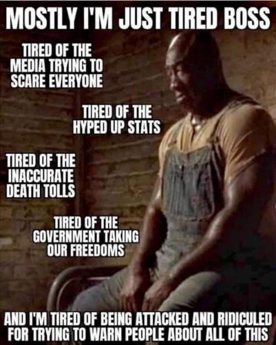 FB_IMG_1715524200959