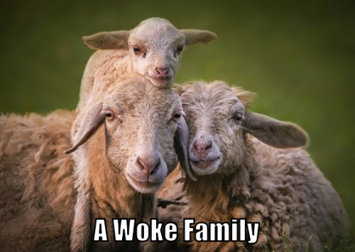wokefam