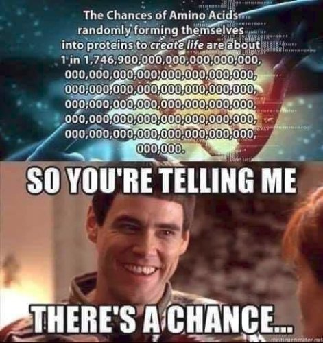 68fe5e81f89b1ab7 (2)