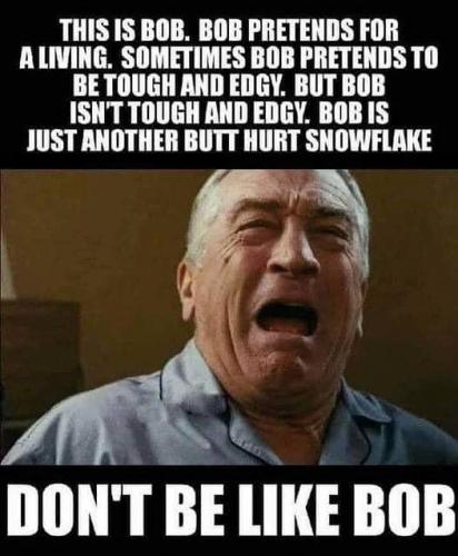 bob-the-slob-v0-nao00rs4e93d1