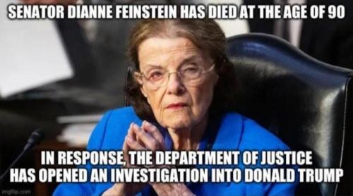 M Feinstein