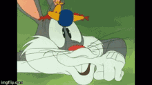 looney-tunes-bugs-bunny