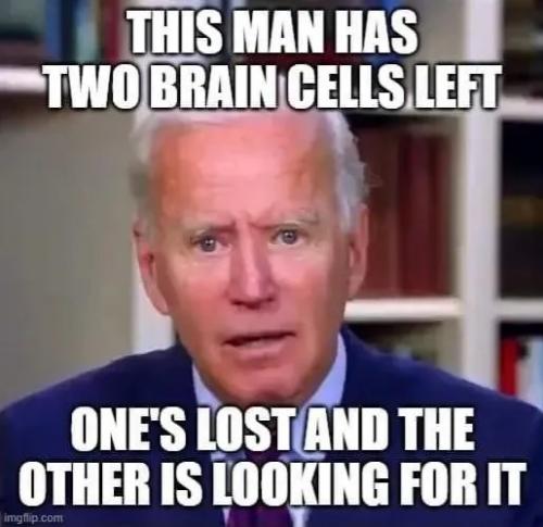 1000023913