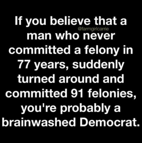 brainwashed dem