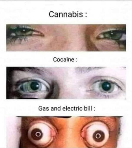 cannabis