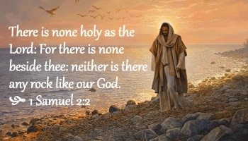 IMG_20240522_084142_628