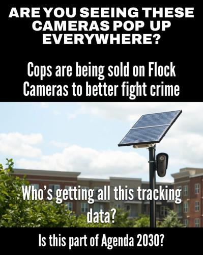 cameras