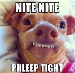 Funny-Good-Night-Meme-Image-16