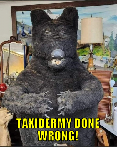 tdw