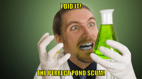 iditpps
