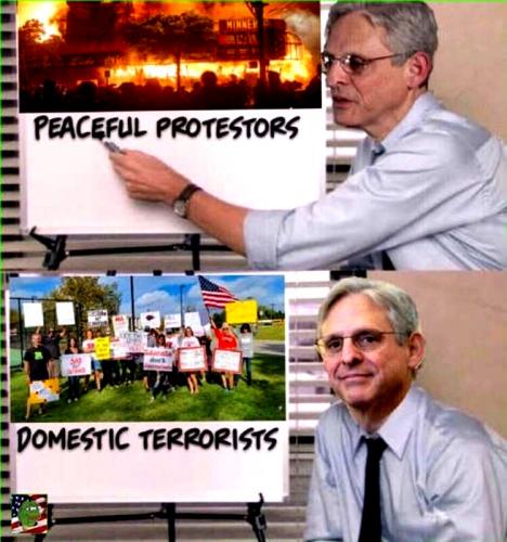 Peaceful Protesters & Domestic Terrorists