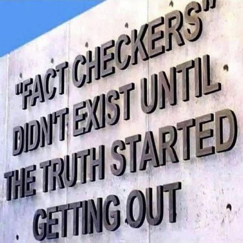 M Fact checkers