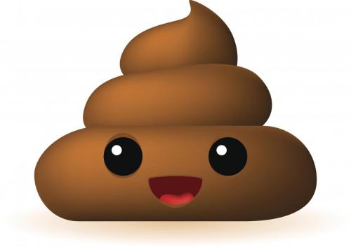 poop