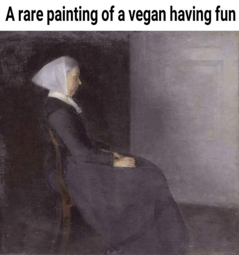 13cc077b4fb2f7ae