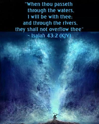 IMG_20240525_080647_784