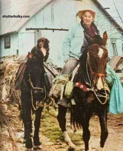 In 1954, sixty-three-year-old Annie Wilkins