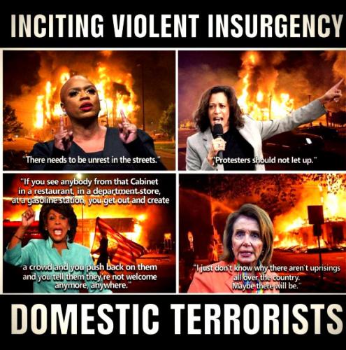 Domestic Terrorists