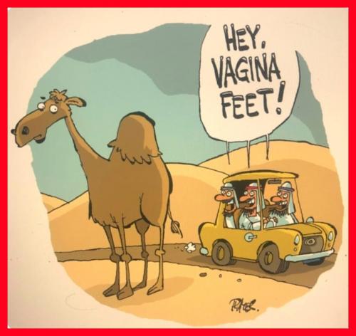 Cameltoe revisited
