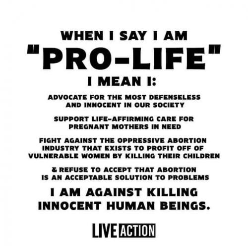 FB_IMG_1716561999683