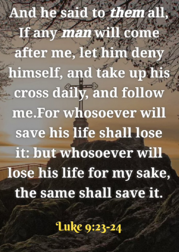 Screenshot_20240511-174625~2