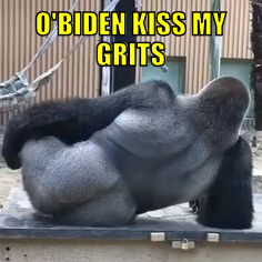 obkmg