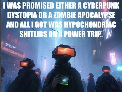 Shitlibs power trip