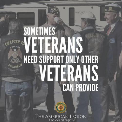 Only a vet