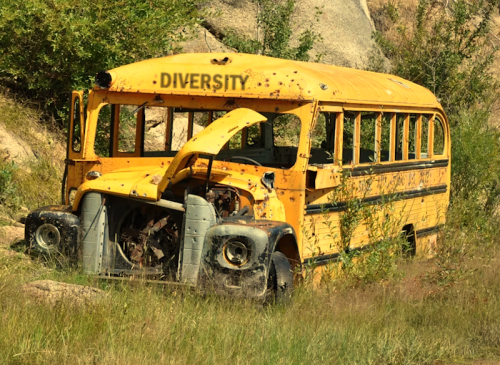 DIVERSITY-BUS-2