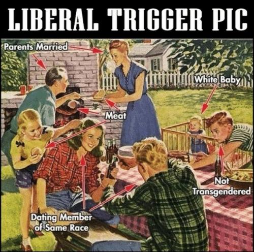 liberal-trigger-picture