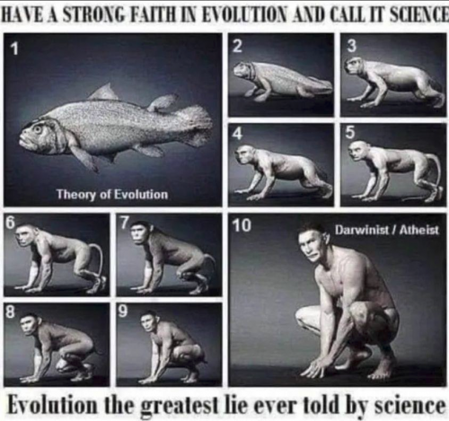 cd2cbe999724d5d2 (2)