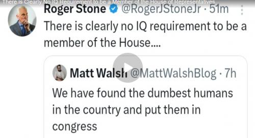 Roger stone Rumble video cover screenshot2