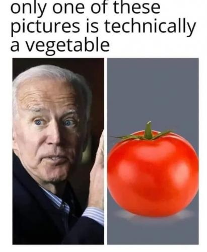 1000022838