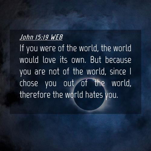 IMG_20240515_080133_325