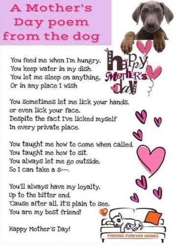 Mother's Day - From the dog