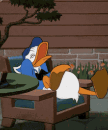 laugh-donald-duck