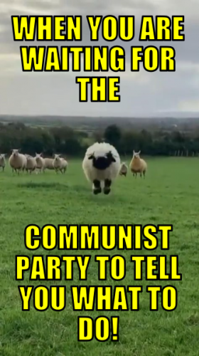wywftcpttywtd