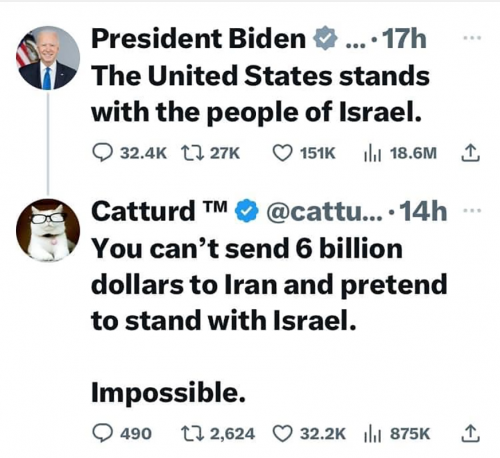 M Catturd Stand with Israel