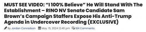 NV Brown RINO