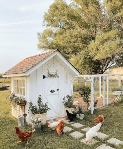 cre8_b30bedc00879be152365371f7ea19d84