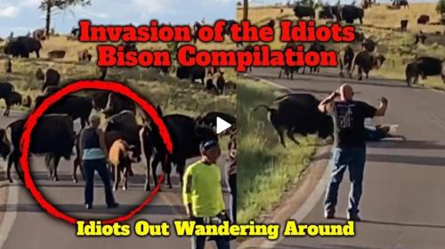 Invasion of the Idiots Rumble screenshot