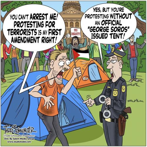 Cartoon
