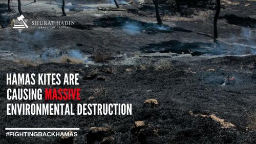 hamas